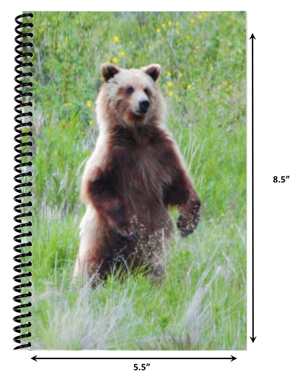 The Superior Check and Debit Card Register - Bear